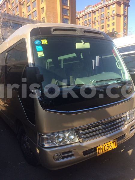 Big with watermark 416632118043302950 copie