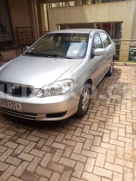 Big with watermark 58755029 2377263949227222 6899408113942659072 n