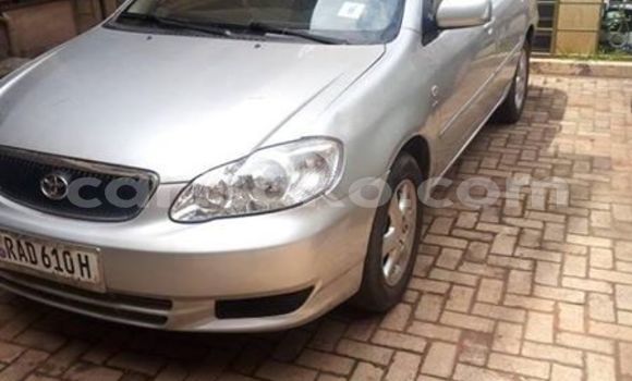 Buy Used Toyota Corolla Silver Car in Kigali in Rwanda Buy Used Toyota Corolla Silver Car in Kigali in Rwanda