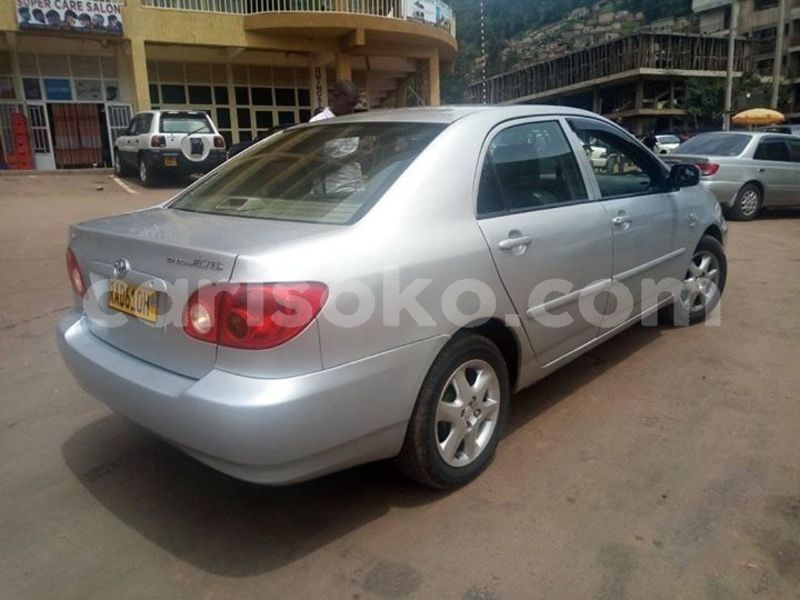 Big with watermark 59337327 2377263909227226 7553805785180930048 o