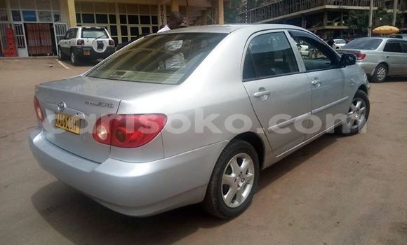 Buy Used Toyota Corolla Silver Car in Kigali in Rwanda Buy Used Toyota Corolla Silver Car in Kigali in Rwanda