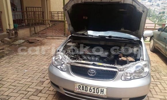 Buy Used Toyota Corolla Silver Car in Kigali in Rwanda Buy Used Toyota Corolla Silver Car in Kigali in Rwanda