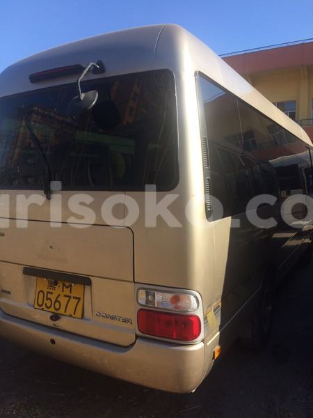 Big with watermark 811914040062116595