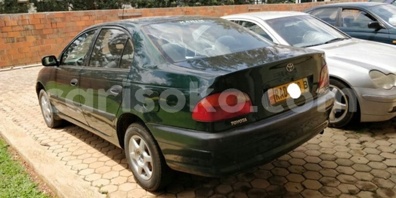 Big with watermark 59527480 209774233333495 954860208738271232 o