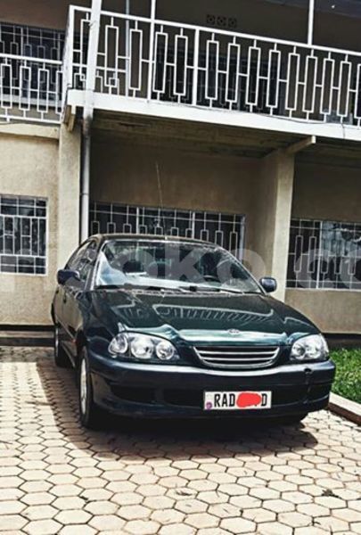 Big with watermark 59244018 209774220000163 6929806668398067712 n