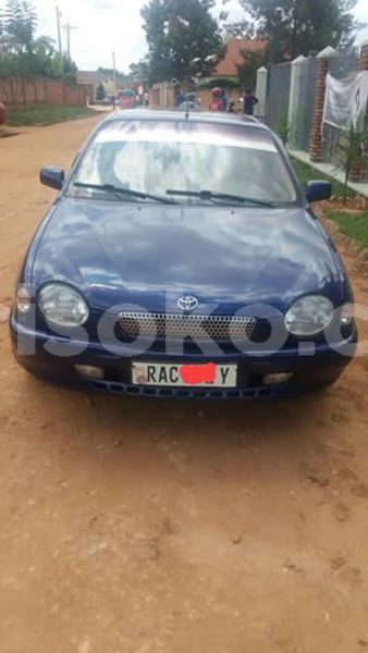 Big with watermark 57471775 209620926682159 7542782665716400128 n