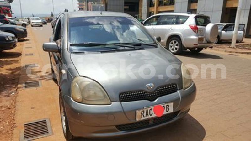 Big with watermark 59064669 209518763359042 1935405314044067840 n