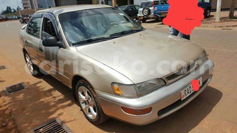 Big with watermark 59339744 209506590026926 5671427133805690880 n