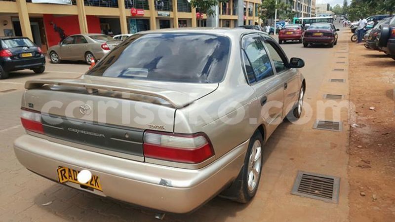 Big with watermark 59619587 209506603360258 8726103184340156416 n