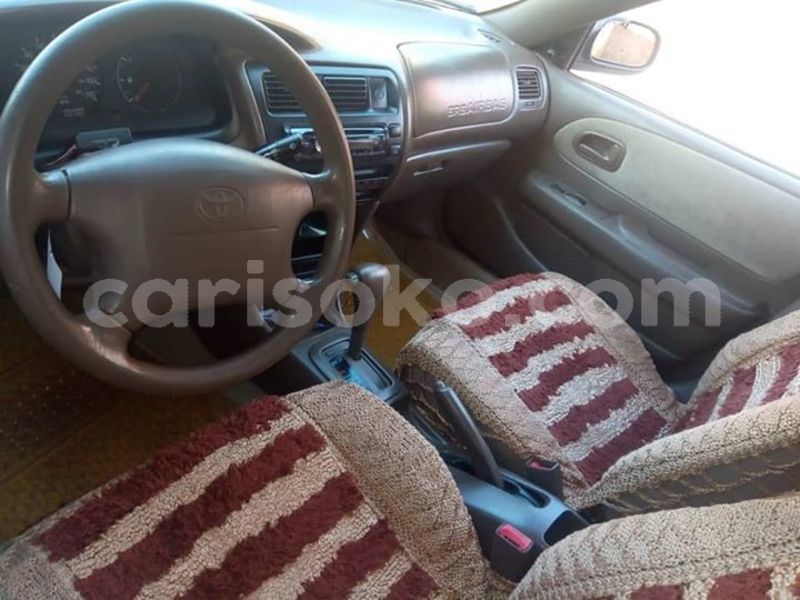 Big with watermark 59337437 209506623360256 8992520259114106880 n