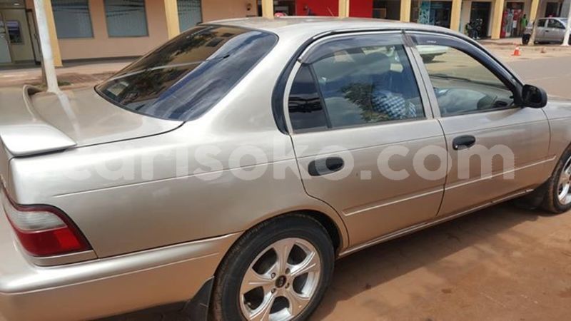 Big with watermark 59183187 209506556693596 5479356157673865216 n