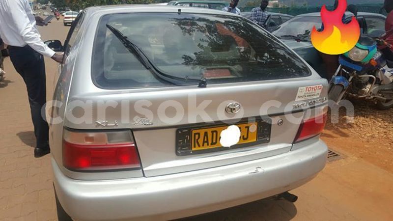 Big with watermark 59252956 209329906711261 530592692015464448 n