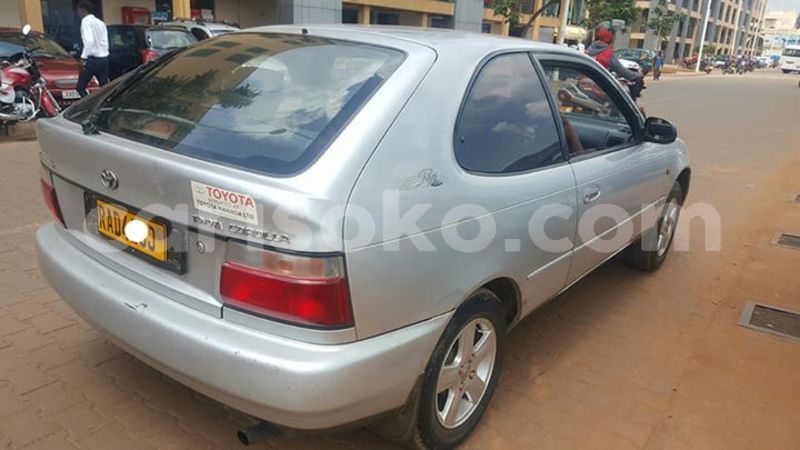 Big with watermark 59295444 209329926711259 8357258556965126144 n