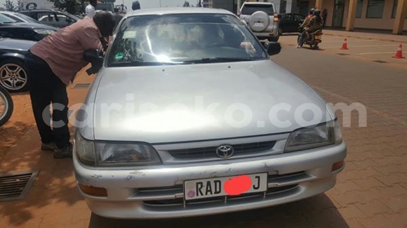 Big with watermark 59386289 209329870044598 4453591467717296128 n