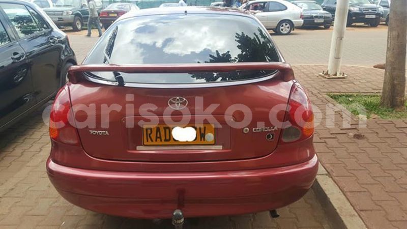 Big with watermark 59403272 209316196712632 4420372661641674752 n