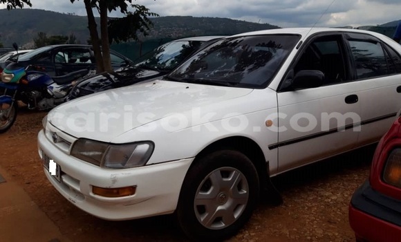 Buy Used Toyota Corolla White Car in Kigali in Rwanda Buy Used Toyota Corolla White Car in Kigali in Rwanda
