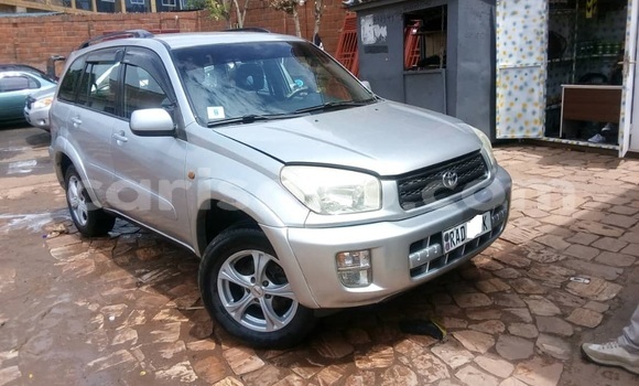 Buy Used Toyota RAV4 Silver Car in Kigali in Rwanda Buy Used Toyota RAV4 Silver Car in Kigali in Rwanda