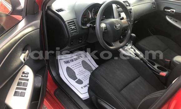 Buy Used Toyota Corolla Red Car in Kigali in Rwanda Buy Used Toyota Corolla Red Car in Kigali in Rwanda
