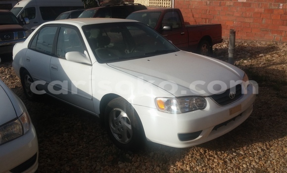 Buy Used Toyota Corolla White Car in Kigali in Rwanda Buy Used Toyota Corolla White Car in Kigali in Rwanda