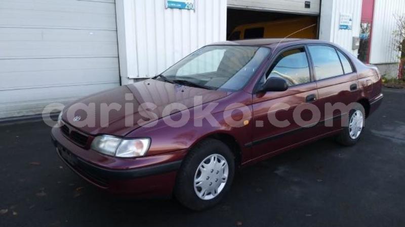 Big with watermark carina2