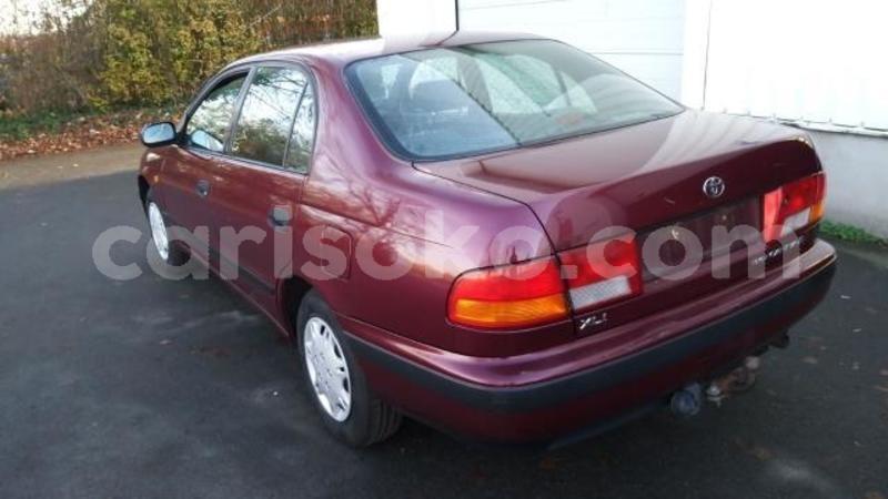 Big with watermark carina3