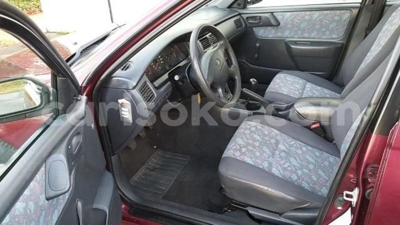 Big with watermark carina6