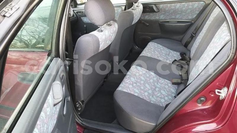 Big with watermark carina7