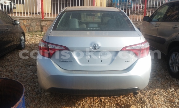 Buy New Toyota Corolla Silver Car in Kigali in Rwanda Buy New Toyota Corolla Silver Car in Kigali in Rwanda