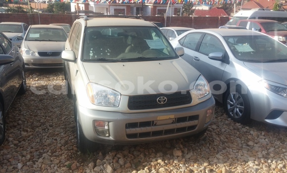 Buy Used Toyota RAV4 Silver Car in Kigali in Rwanda Buy Used Toyota RAV4 Silver Car in Kigali in Rwanda