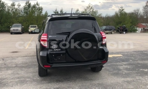 Buy Used Toyota RAV4 Black Car in Rusizi in Rwanda Buy Used Toyota RAV4 Black Car in Rusizi in Rwanda