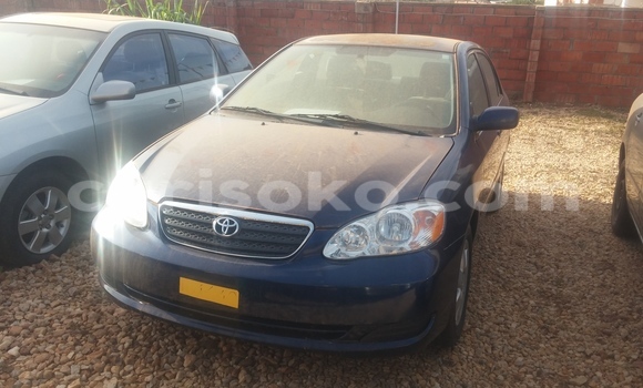 Buy Used Toyota Corolla Blue Car in Kigali in Rwanda Buy Used Toyota Corolla Blue Car in Kigali in Rwanda