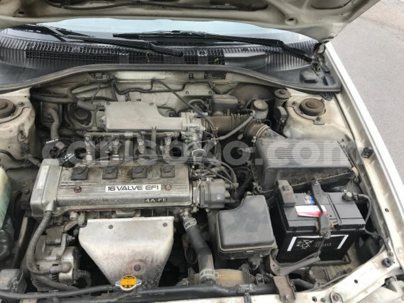 Big with watermark 640x480 79 