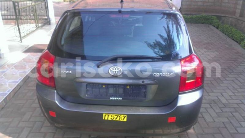 Big with watermark 17523240 446906552317802 3020784409794938775 n