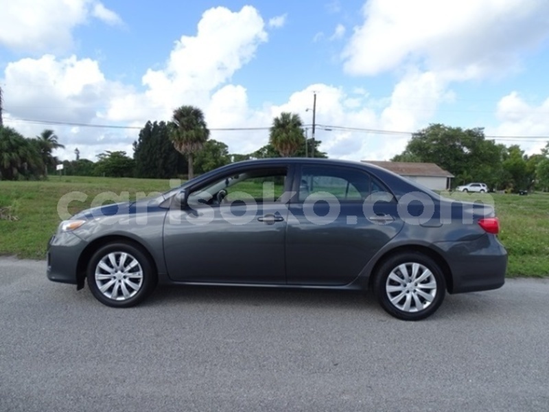 Big with watermark 854754214 7 