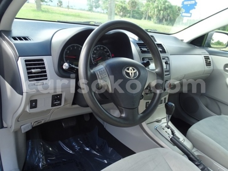 Big with watermark 854754214 12 