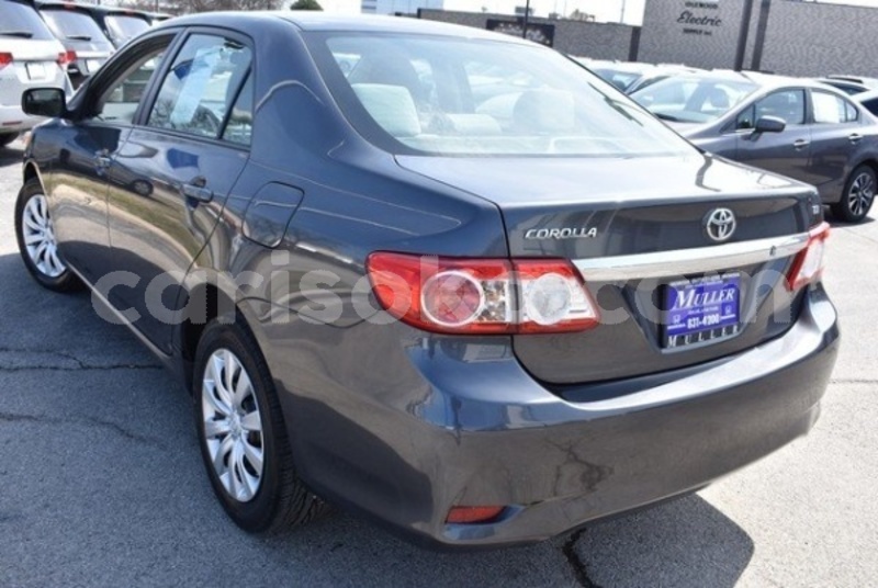 Big with watermark hfrxv4ofpbgzajqbfqondw2usu 600