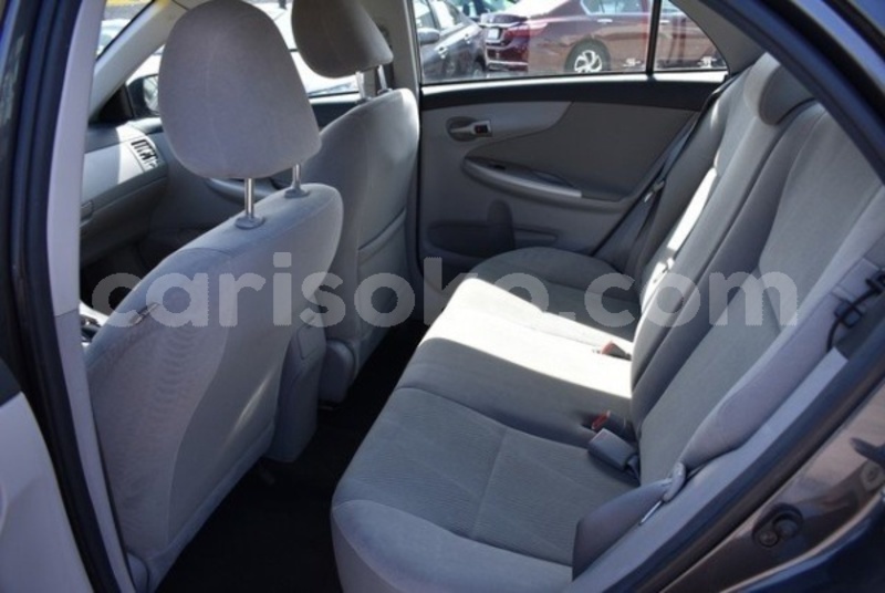 Big with watermark kpieffgt5s55r4zlbzz3vansua 600