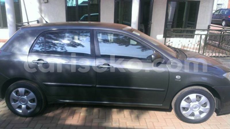 Big with watermark 17796439 1315154081906354 3590367499681648485 n