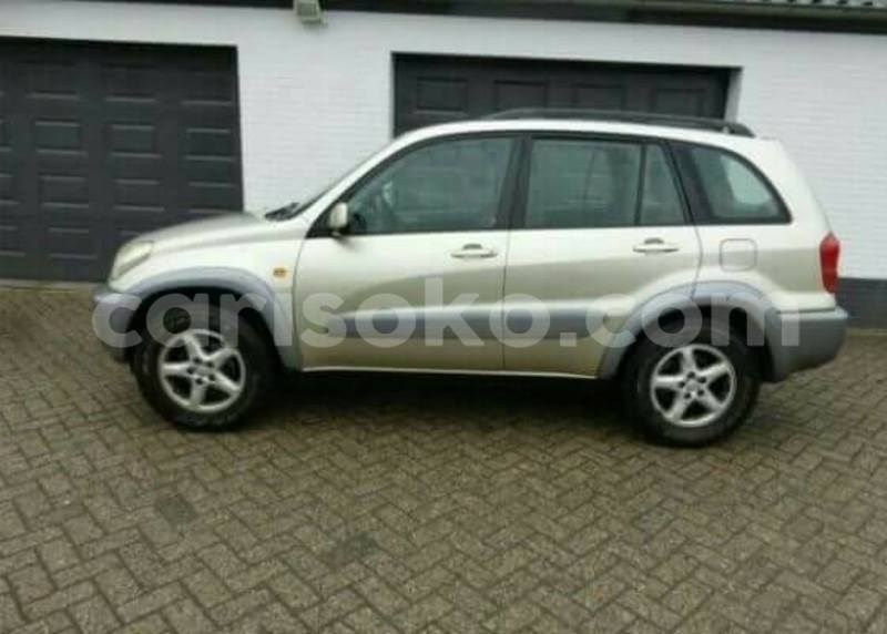 Big with watermark 17523240 446906552317802 3020784409794938775 n