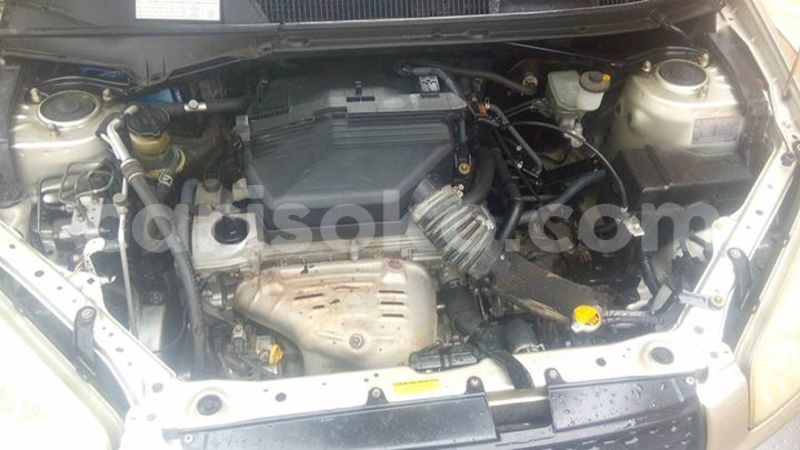 Big with watermark 17796439 1315154081906354 3590367499681648485 n