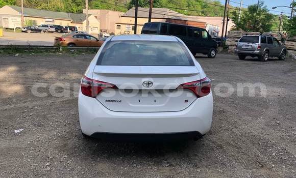 Buy Used Toyota Corolla White Car in Kigali in Rwanda Buy Used Toyota Corolla White Car in Kigali in Rwanda