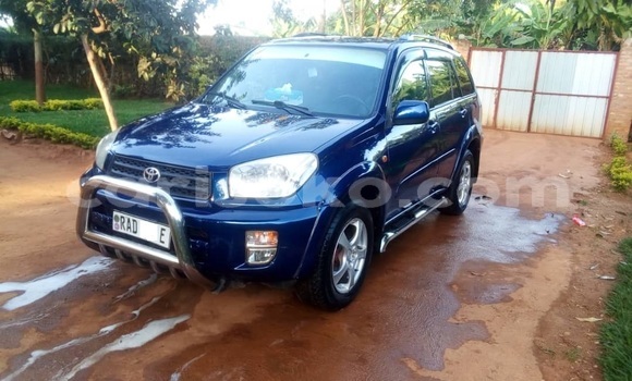 Buy Used Toyota RAV4 Blue Car in Kigali in Rwanda Buy Used Toyota RAV4 Blue Car in Kigali in Rwanda