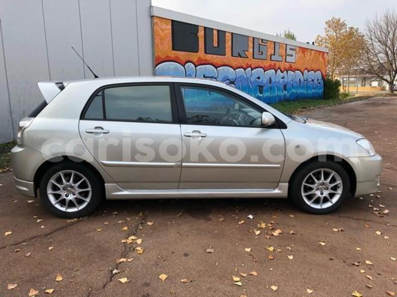 Big with watermark cc1