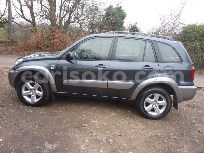 Big with watermark c1