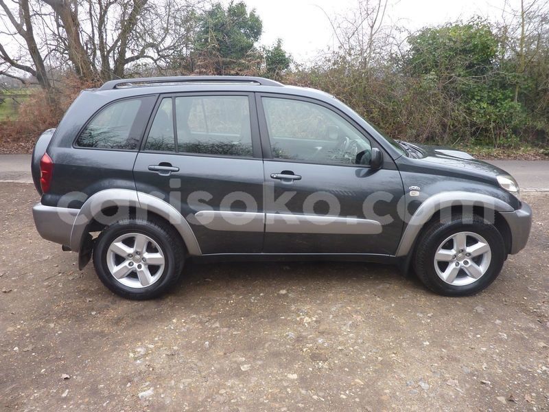 Big with watermark c5