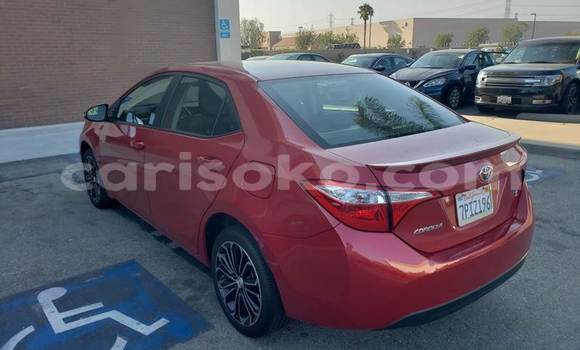 Buy Used Toyota Corolla Red Car in Kigali in Rwanda Buy Used Toyota Corolla Red Car in Kigali in Rwanda
