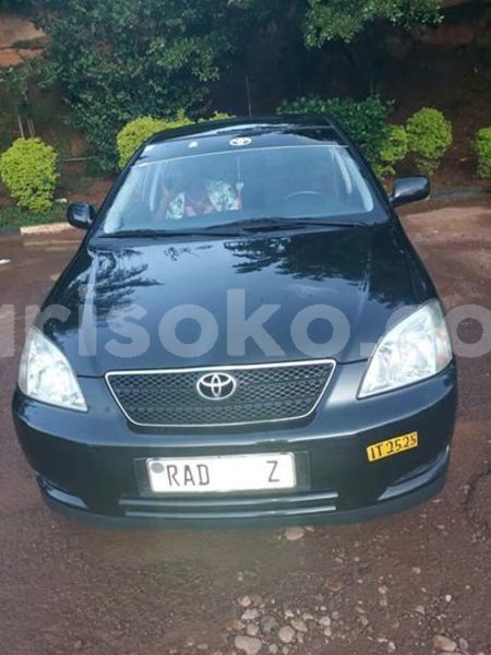 Big with watermark 60295468 212877496356502 5460125699304062976 n