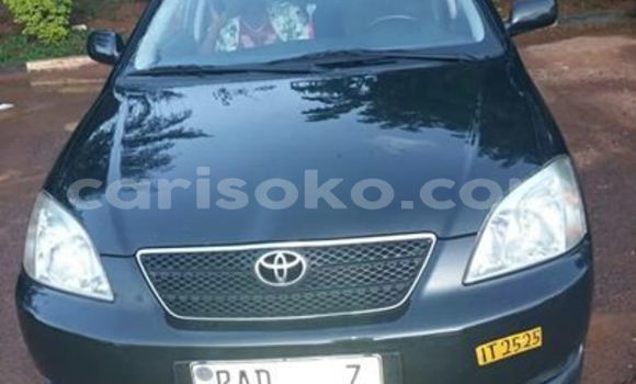 اشتري مستعمل Toyota Corolla Noir سيارة في Kigali في Rwanda اشتري مستعمل Toyota Corolla Noir سيارة في Kigali في Rwanda