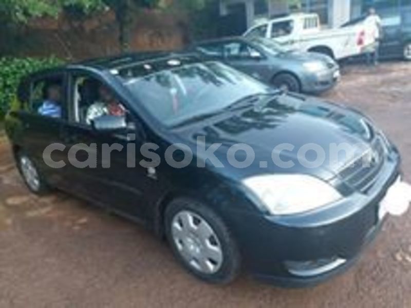 Big with watermark 60344386 212877509689834 4492275778590867456 n