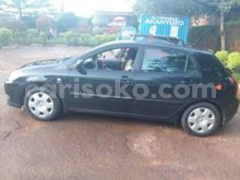 Big with watermark 60443304 212877523023166 7948664694460383232 n